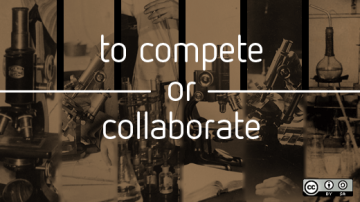 to compete or collaborate