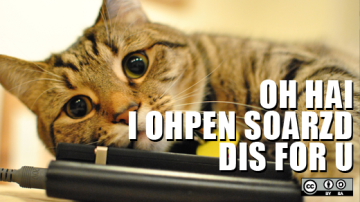 If you want a culture of collaboration, you need to accept the LOLCats too