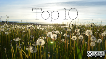 Top 10 list